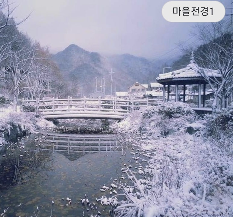 보나팜영농조합 이미지