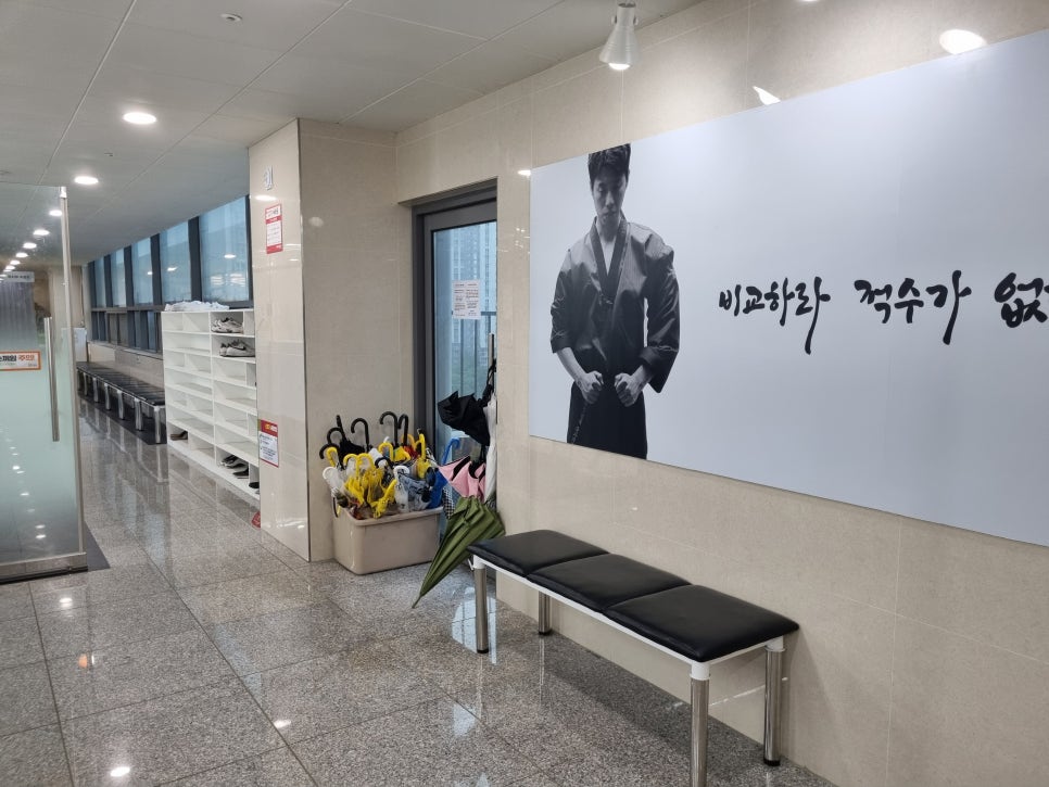 국가대표태권스쿨 이미지