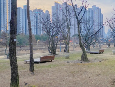 혜화동파닭 이미지