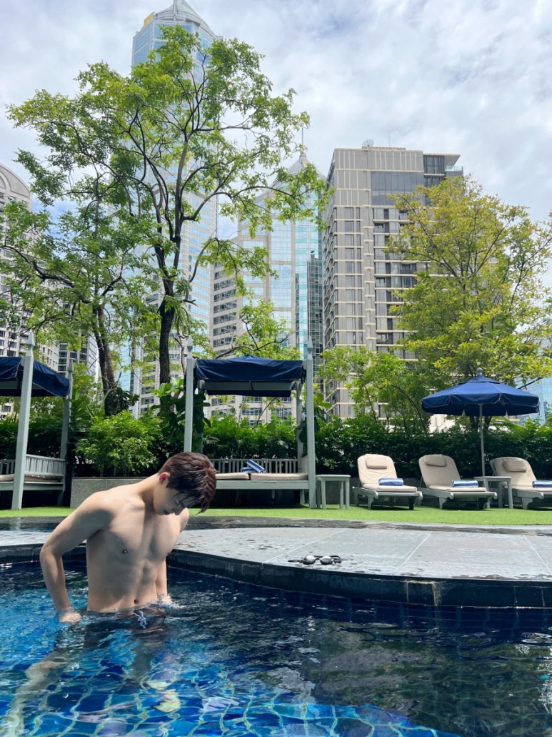 디노짐 이미지
