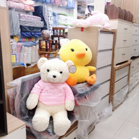 만쿠나 이미지