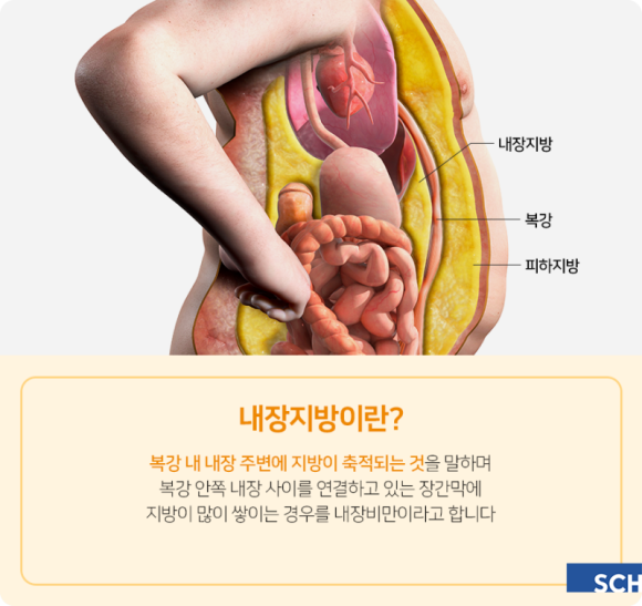 순천향대학교휘트니스 이미지