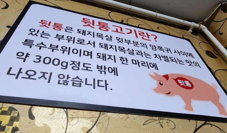 연일 뒷통 이미지