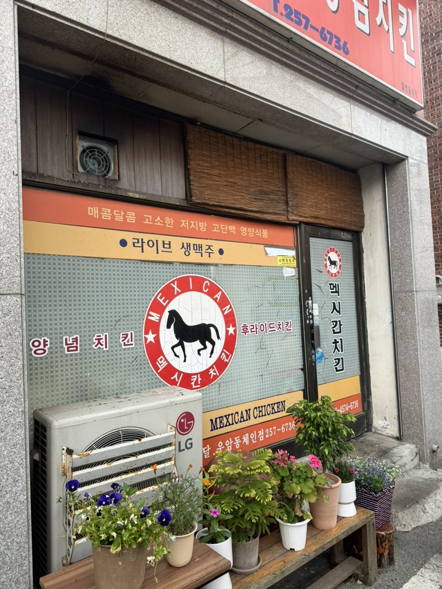 멕시칸우암，내덕점 이미지