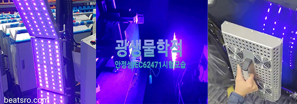 차외형복원 이미지