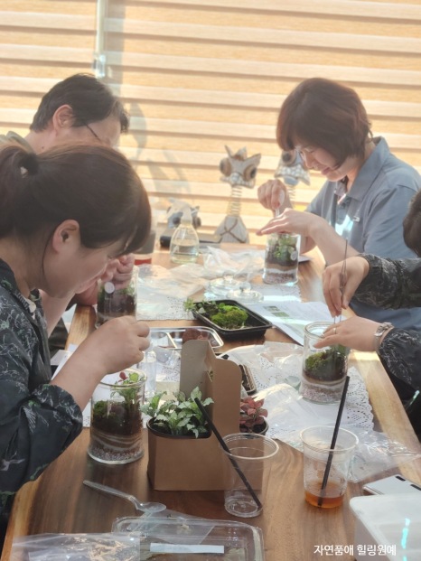 산림문화협동조합더그루 이미지