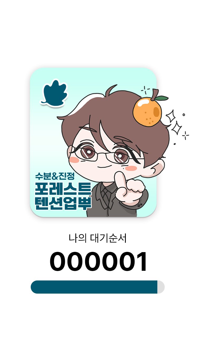 포레스트(forest) 이미지