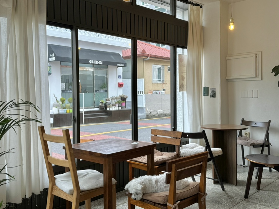 카페,메쥬 이미지