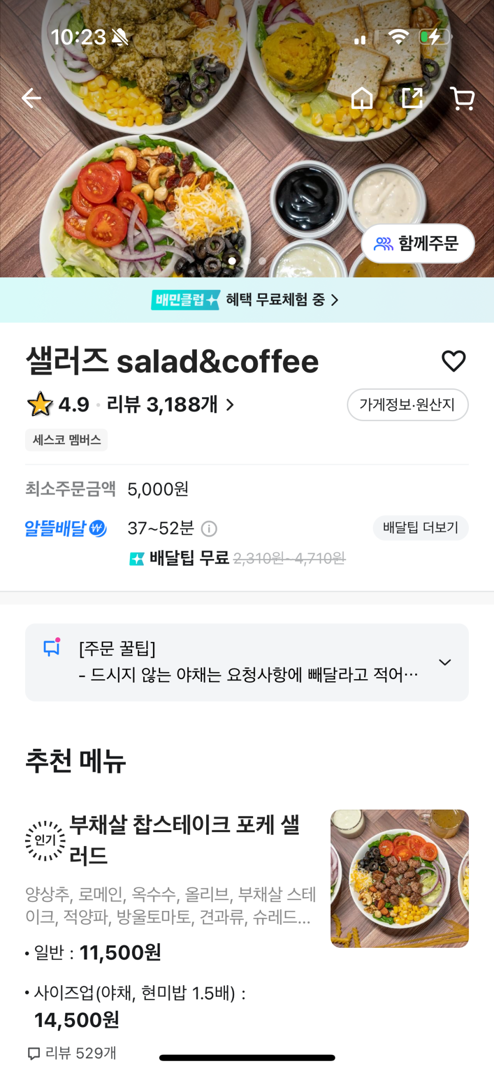 샐러즈 이미지