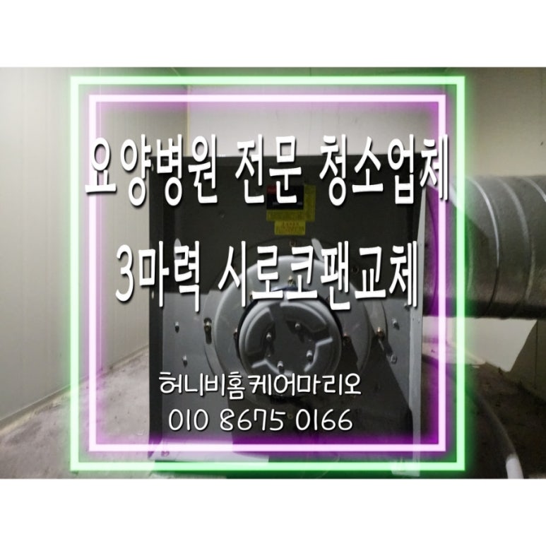 허니비홈케어 이미지