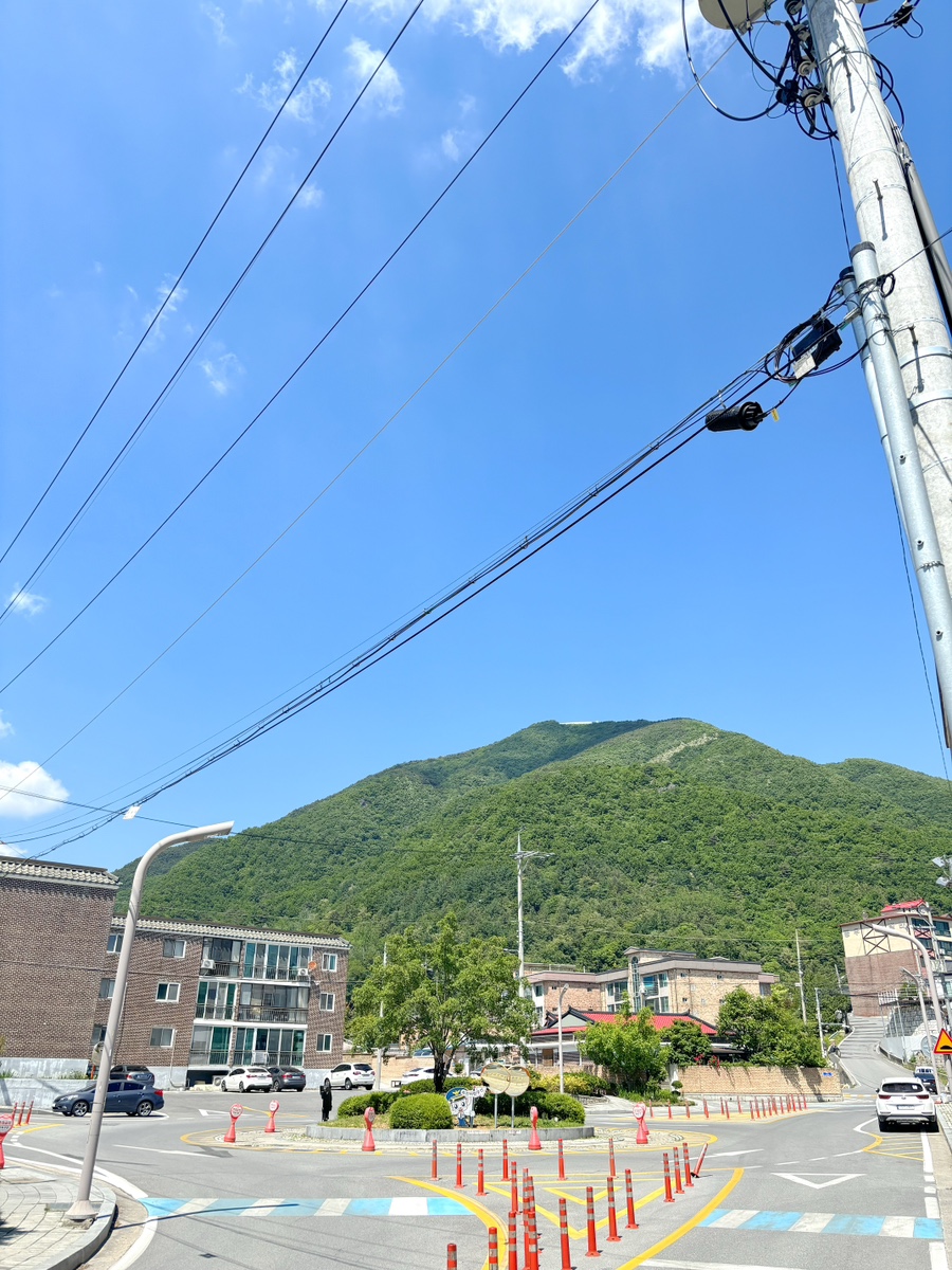 부뚜막초계국수 이미지