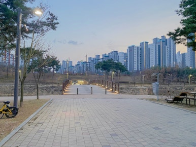 혜화동파닭 이미지