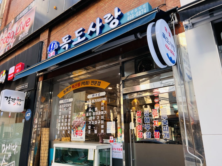 독도막회 이미지