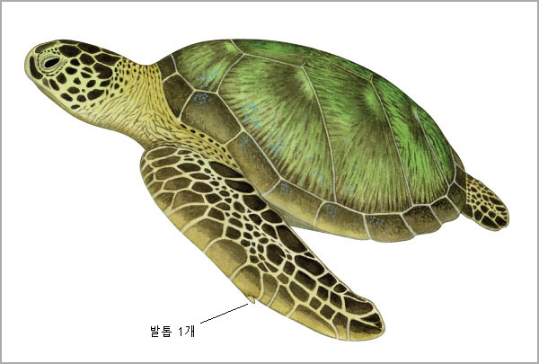 아리바다 이미지