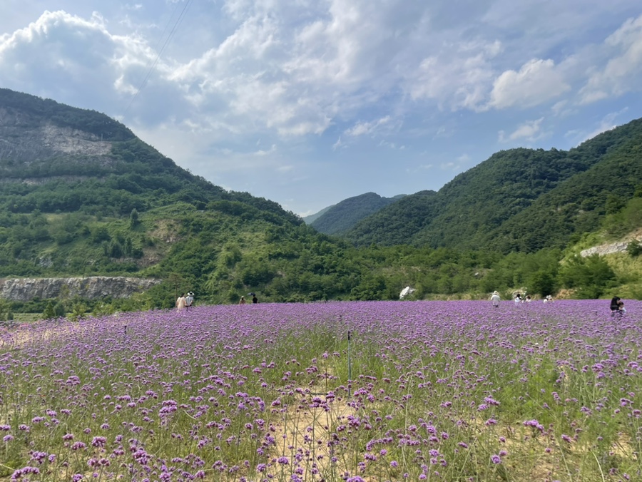 별비담캠핑장 이미지