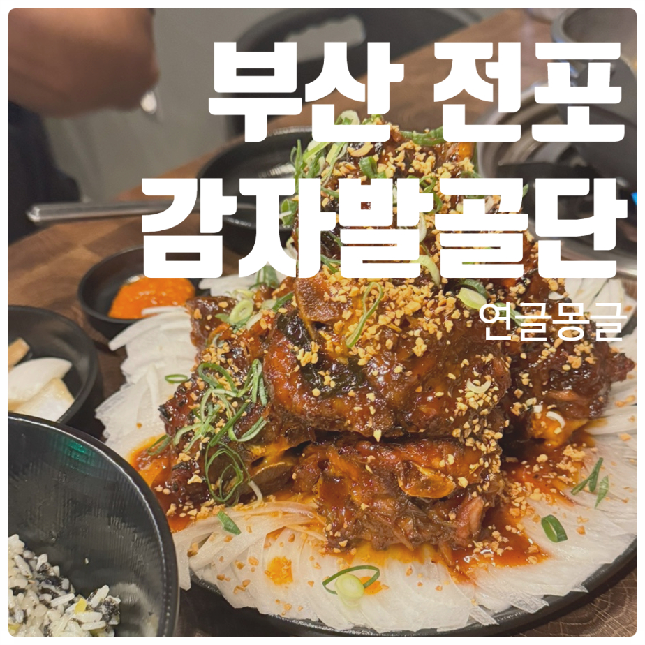 감자발골단 이미지