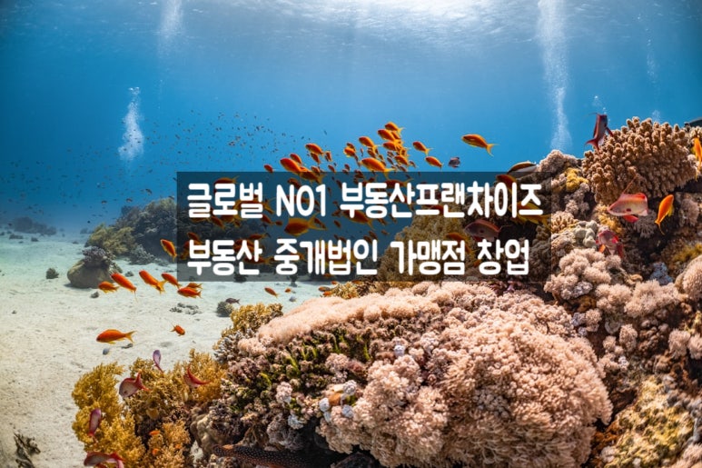케이원제26호종로오피스위탁관리부동산투자회사 이미지