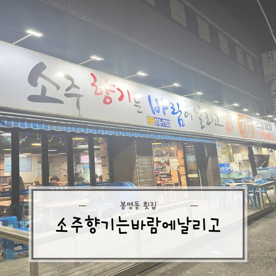 소주향기는바람에날리고 이미지