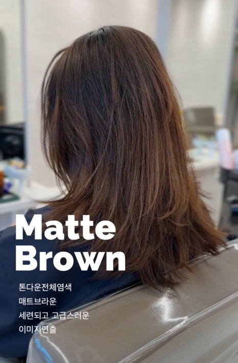 테오르헤어 이미지