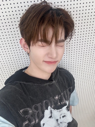 쿱스 이미지