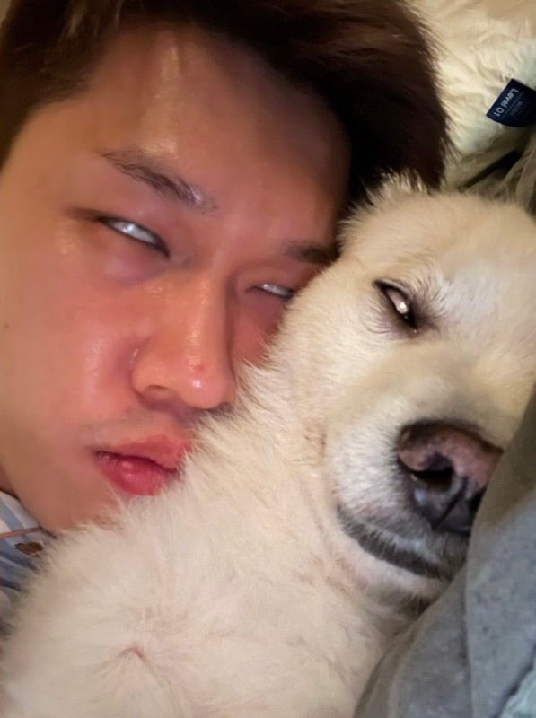 스테이포레스트 이미지