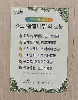 진짜왕곰탕 이미지
