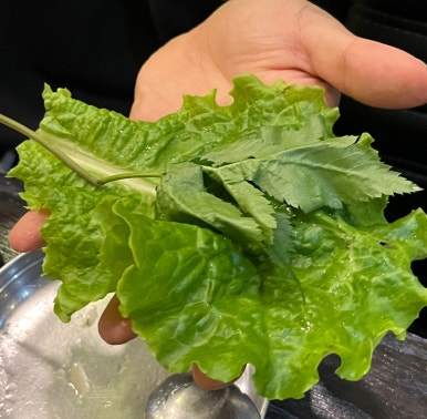 홍장어 이미지