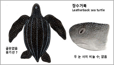 아리바다 이미지