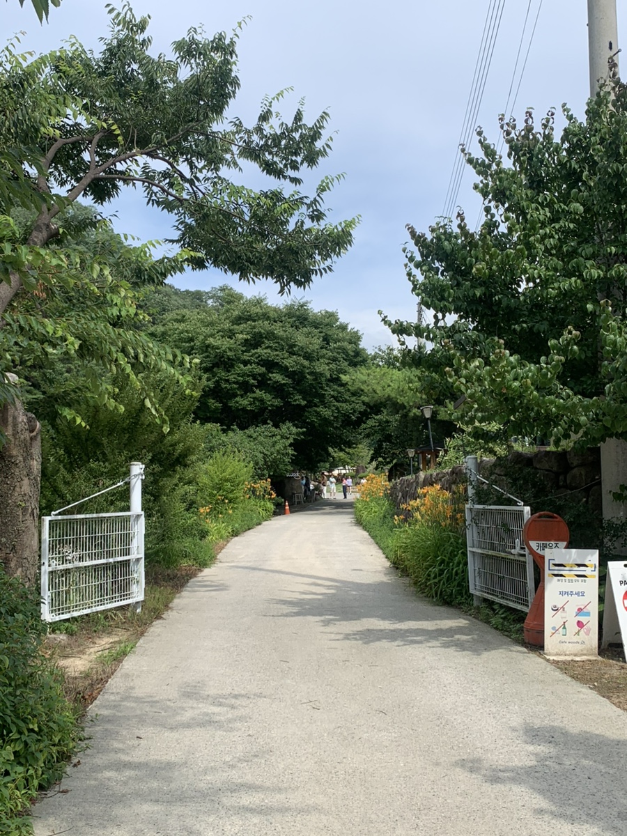 리쉬우즈 이미지