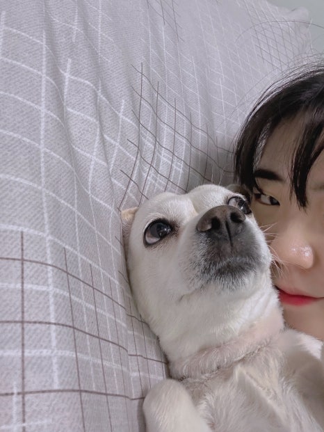 노모어피자삼양 이미지