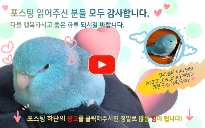 원흥역황소곱창 이미지
