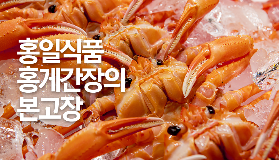 옵디자인 이미지