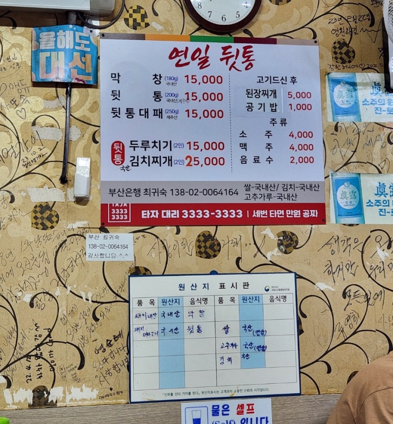 연일 뒷통 이미지