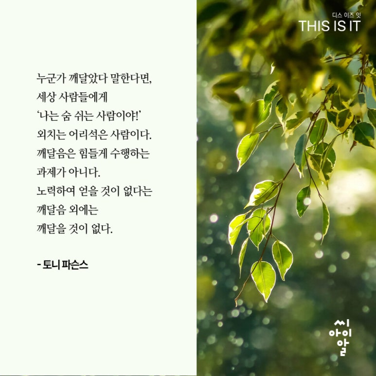 디스이즈잇 이미지