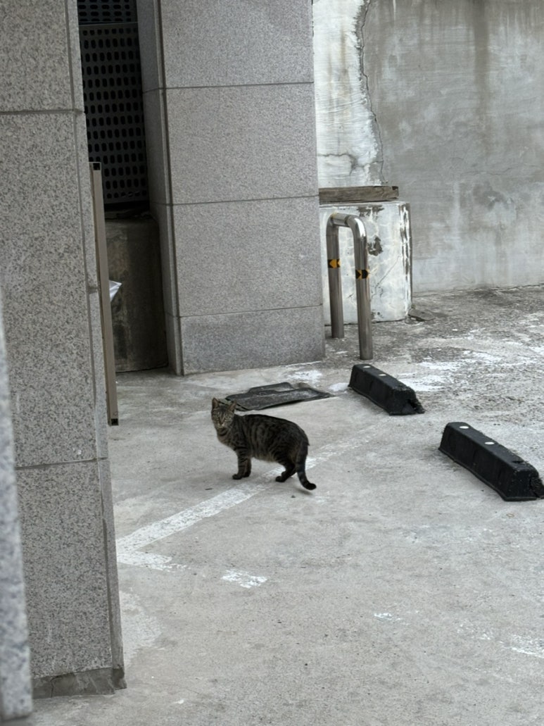 도깨비불곱창 이미지