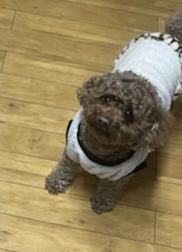 이레옷수선 이미지