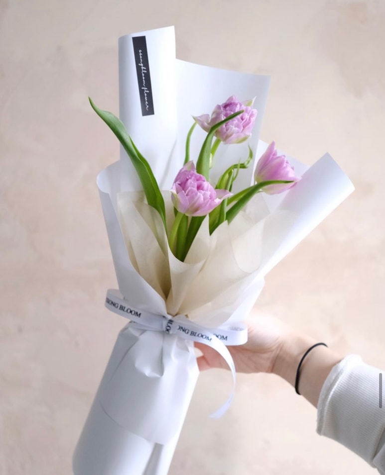 쏭블룸 이미지