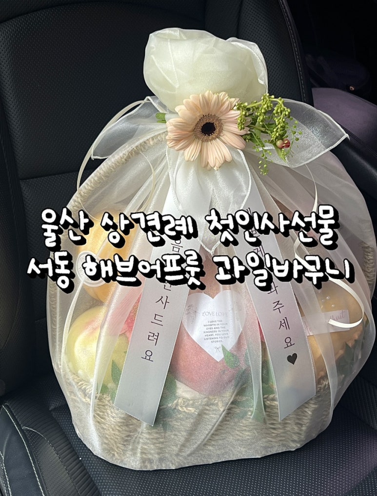 해브어프룻 이미지