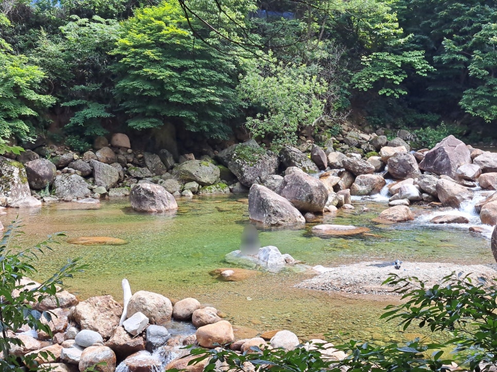 느티나무야영장 이미지
