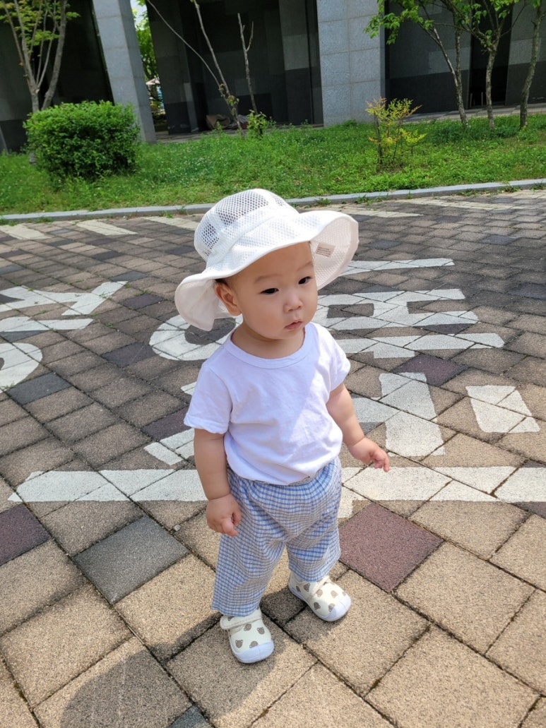 버킷위즈 이미지