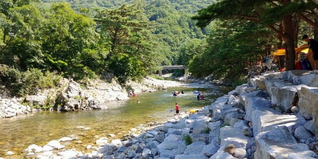 솔밭야영장 이미지
