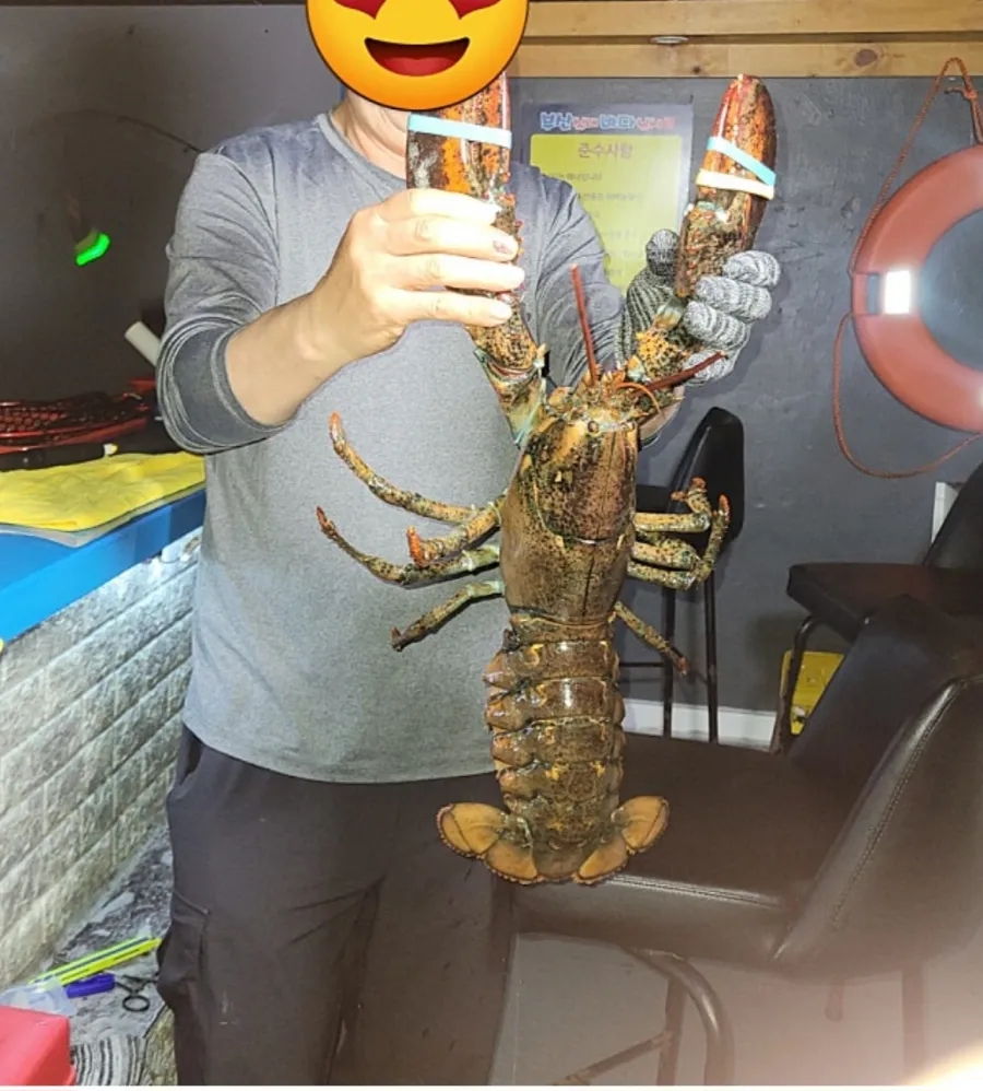 부산실내바다낚시터 이미지
