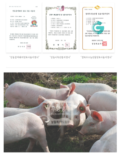 우돈엠피피 이미지