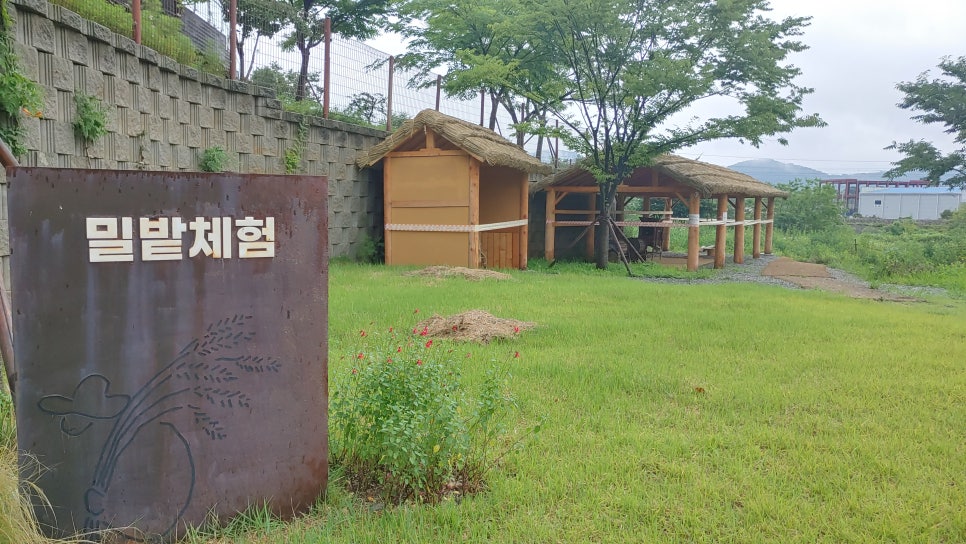 솔잎체험장 이미지