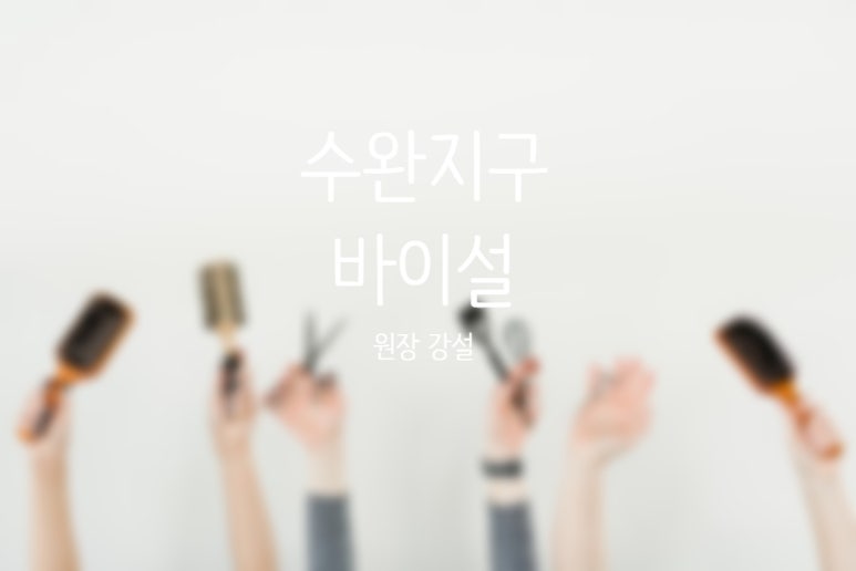 바이설 이미지