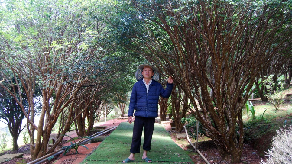 과일정원 이미지
