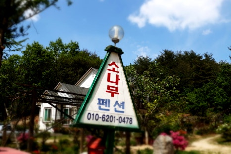 주문진펜션 이미지