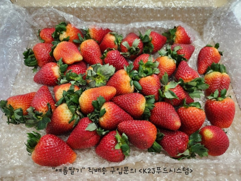 푸드 인 시스템 이미지