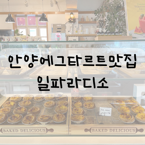 일파라디소 이미지