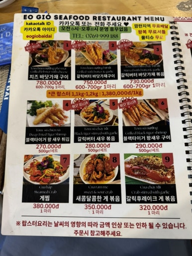 이오지오 이미지